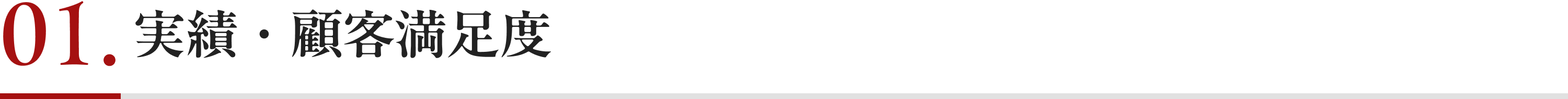 実績・顧客満足度